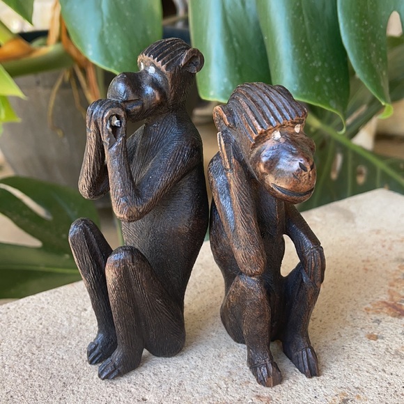 2 Monkeys - Picture 2 of 7